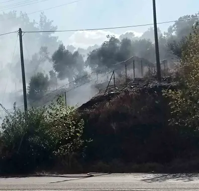 Milas-Söke Karayolundaki Otluk Yangını Ekiplerin Müdahalesiyle Söndürüldü