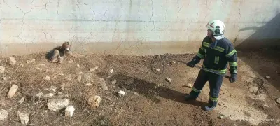 Denizli'de Boş Havuzda Günlerce Mahsur Kalan Köpek İtfaiye Tarafından Kurtarıldı