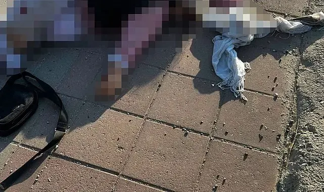 Mardin'de tırın çarptığı yaşlı kadın hayatını kaybetti