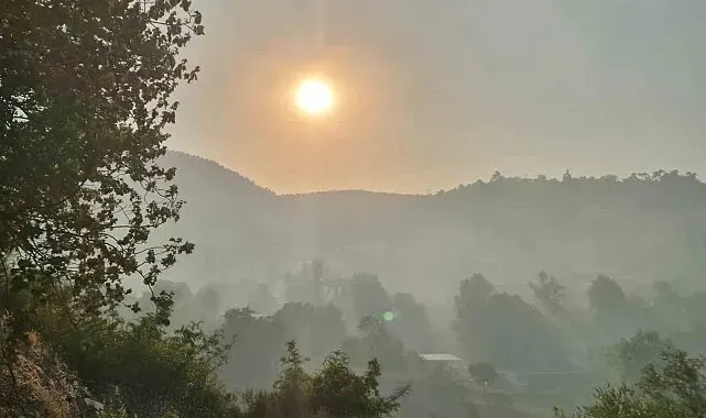 Balıkesir'deki yangında gökyüzünü dumanlar kapladı