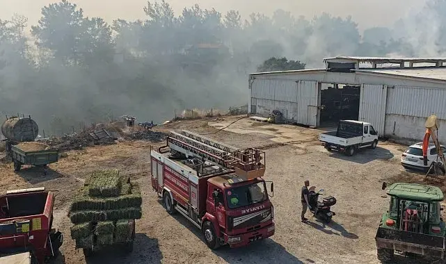 Balıkesir'de üç ayrı noktada yangın