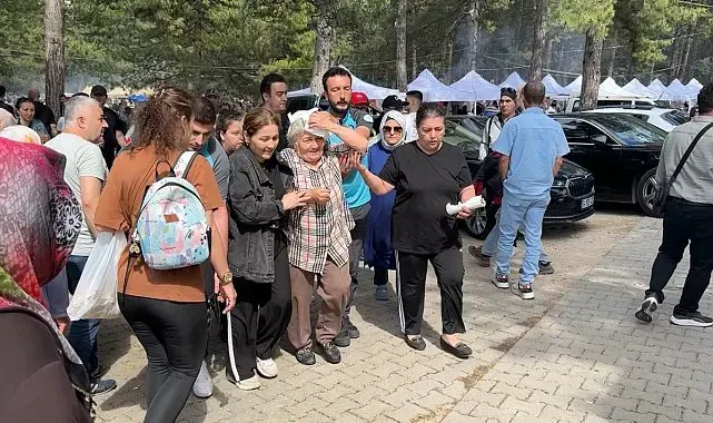 Şenlikte ağaçtan düşen dal yaşlı kadını yaraladı