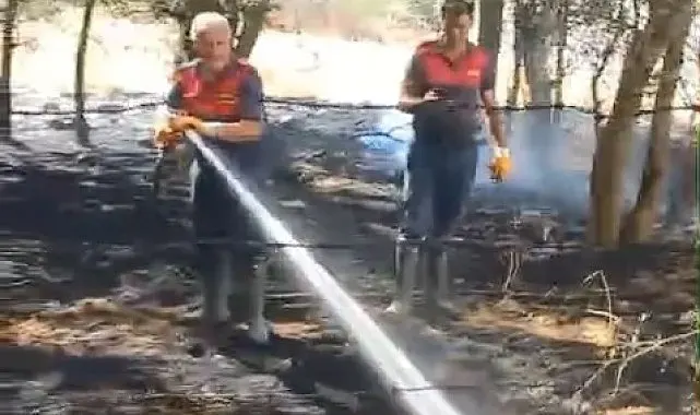 Elazığ'da örtü yangını