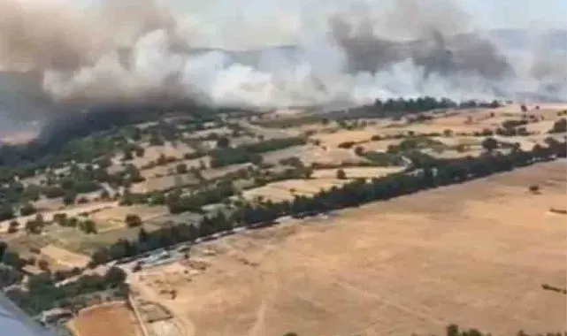 Balıkesir Altıeylül'de orman yangını