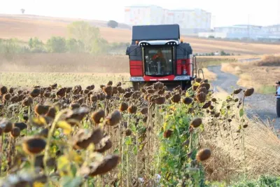 KARADENİZBİRLİK'ten 2026 Sezonu Yağlık Ayçiçeği Alım Fiyatı Açıklaması