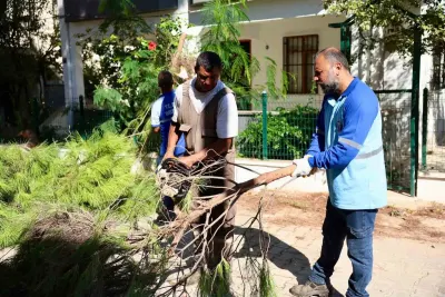 Didim Belediyesi’nden Çevre Düzenlemesi ve Sosyal Destek