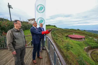 Rize'de tedavi edilen yaralı arı şahinleri doğaya salındı