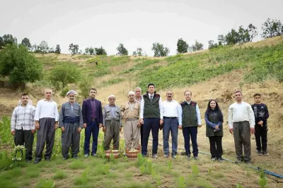 Hakkari Şemdinli'de Üzüm Hasadı Başladı