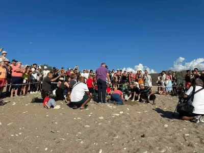 Çıralı Sahili'nde Sezonun Son Caretta Caretta Yuvası Denizle Buluştu