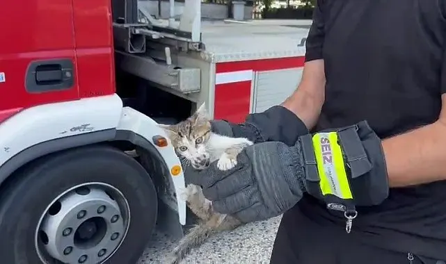 Saatlerce ağaçta bekledi, duyarlı vatandaşın çağrısıyla kurtarıldı