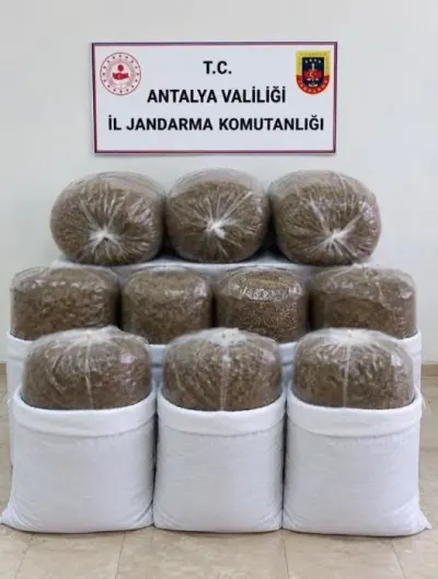 Antalya'da Üç İlçede Kaçak Tütün Operasyonu: Tonlarca Ürün Ele Geçirildi