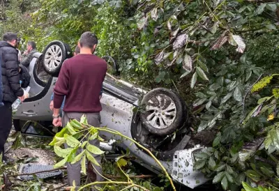 Ordu'da Islak Zeminde Kayan Otomobil Ağaca Çarptı: 1 Yaralı
