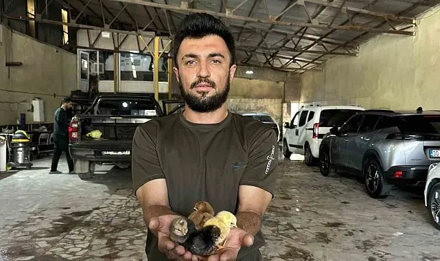 Bir belgesel izledi, hayatı değişti: Oto yıkama dükkanından tavukçuluk fabrikasına uzanan azim hikayesi
