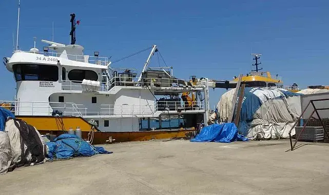 Balıkçıların yeni sezonda umudu palamut