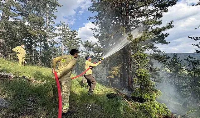 Kastamonu'da çıkan orman yangınında 7,5 dönüm alan zarar gördü
