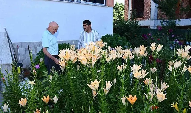 Emekliliğini renk renk çiçek bahçesine dönüştürdü