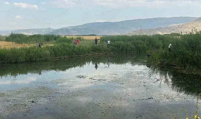 Dereye düşen genç ile onu kurtarmaya çalışan kuzeni hayatını kaybetti