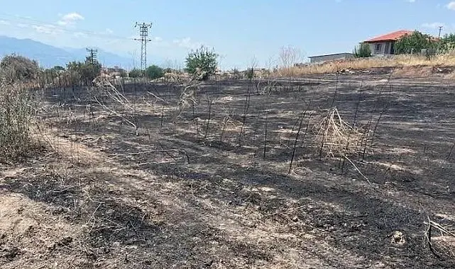 Otluk alanda çıkan yangın büyümeden söndürüldü
