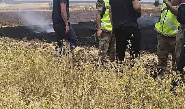 Siirt'te anız yangını