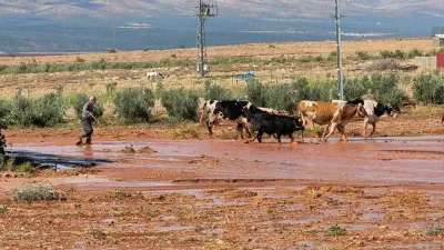 Hatay'da Ani Sağanak Yağış Tarım Arazilerini ve Evleri Su Altında Bıraktı