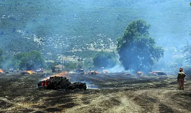Tonlarca saman balyası yandı