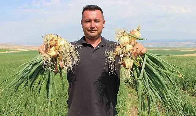 Amasya'da soğan bir bardak çaydan bile ucuz
