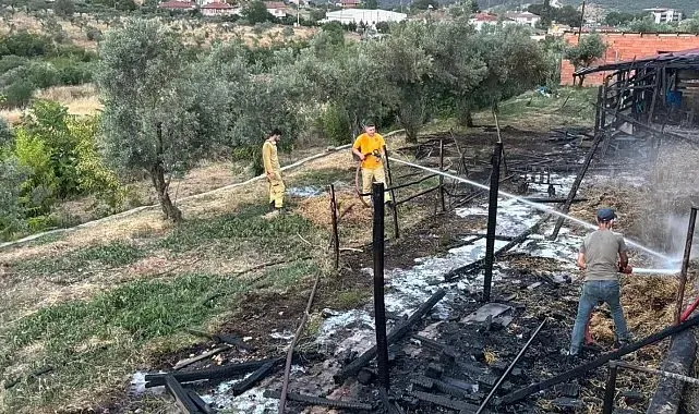 Bilecik'te bir ahır çıkan yangında kül oldu