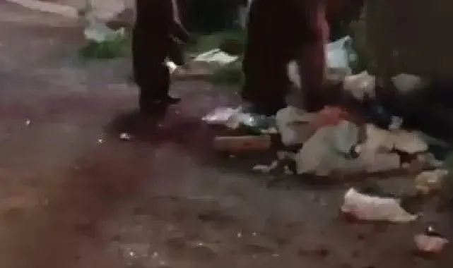 Kars'ta vatandaş ayılara türkü söyledi, o anlar sosyal medyayı salladı