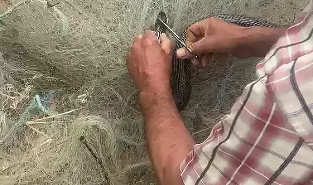 Balık ağında mahsur kılan yılanı elleriyle kurtardı