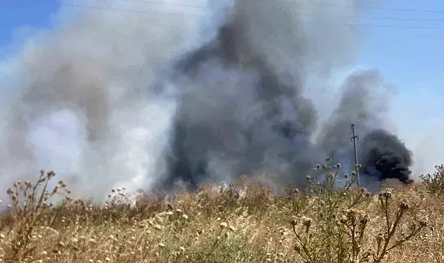 Bandırma'da otluk alanda çıkan yangın söndürüldü