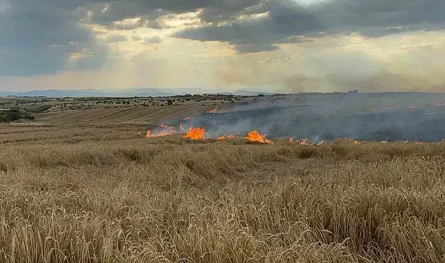 Edirne'de buğday tarlasında yangın