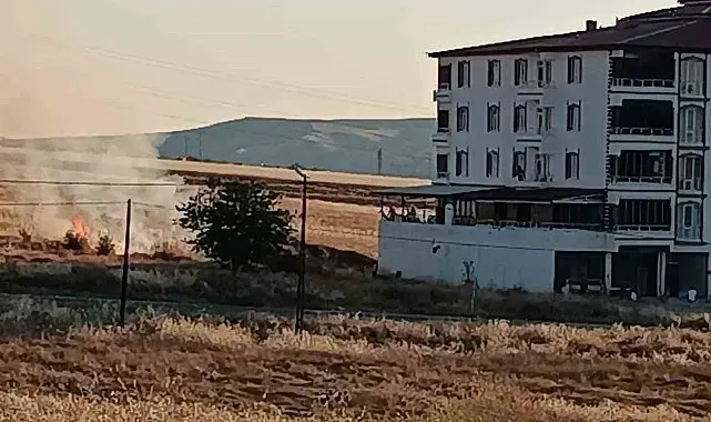 Elazığ'da buğday tarlasında yangın