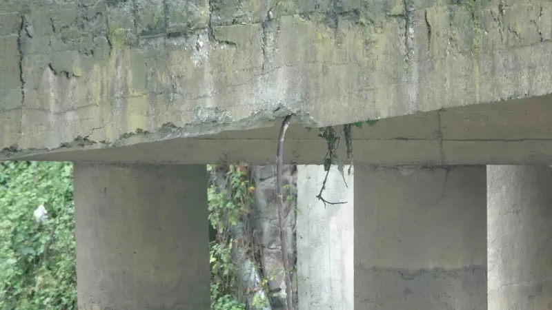 Trabzon'da 40 yıllık köprünün betonları döküldü, demirleri sarktı