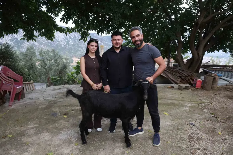 Adana'daki düğünde damadın et sevgisini bilen arkadaşından şaşırtan keçi hediyesi