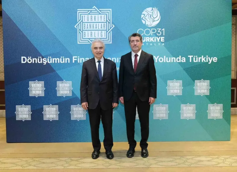 Bankacılık sektörünün enerji kredileri 1 trilyon TL'yi aştı