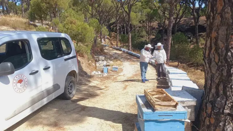 Bozdoğan’da arıcılık faaliyetleri için arılı kovan tespit çalışmaları sürüyor