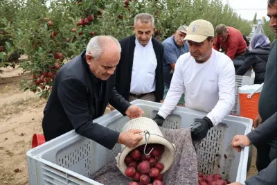 Kayseri Yahyalı'da elma hasadı sevinci başladı