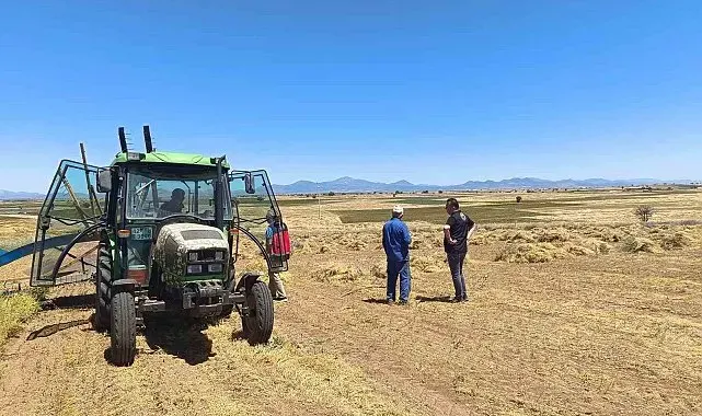 Beyşehir'de kırmızı mercimekte hasat başladı