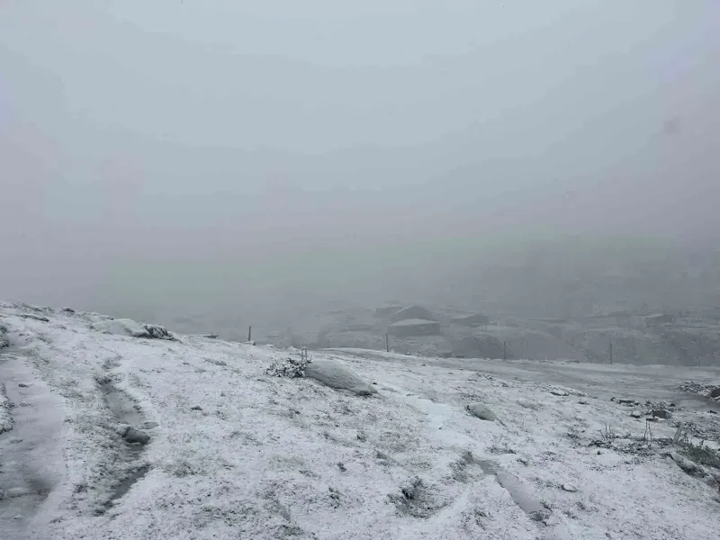 Rize'nin Avusor Yaylası'nda kar yağışı etkili oldu