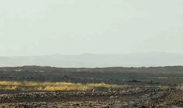Mardin'de çıkan anız yangını söndürüldü