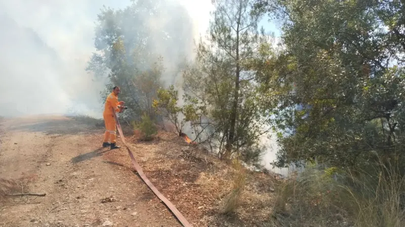 Bursa Keles Ormanlık Alanda Yangın Çıktı
