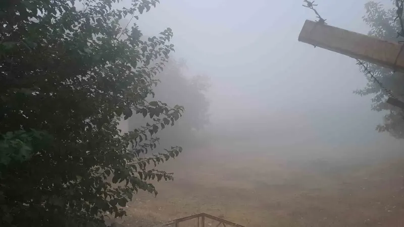 Diyarbakır Silvan'da Etkili Olan Yoğun Sis Ulaşımı Aksattı
