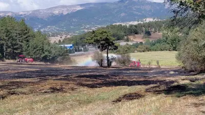 Bolu Mudurnu'da Anız Yangını Ormana Sıçradı, Köylülerin Zamanında Müdahalesi Facianın Önüne Geçti