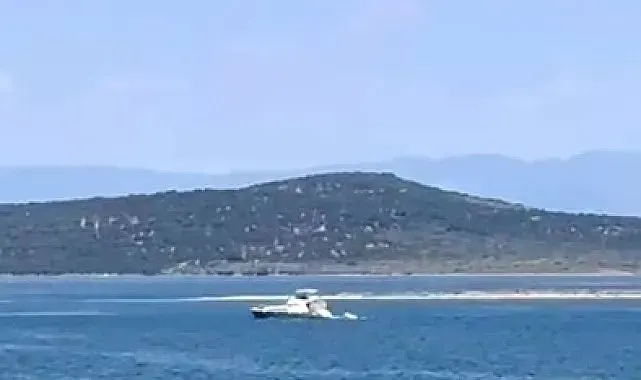 Ayvalık'ta denizde kaybolan genç için arama kurtarma çalışmaları sürüyor