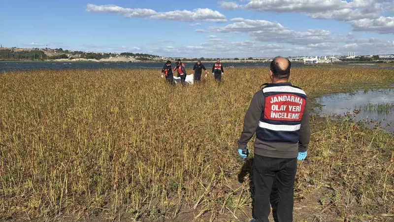 Meriç Nehri'nde Hareketsiz Yatan Bir Erkek Cesedi Bulundu