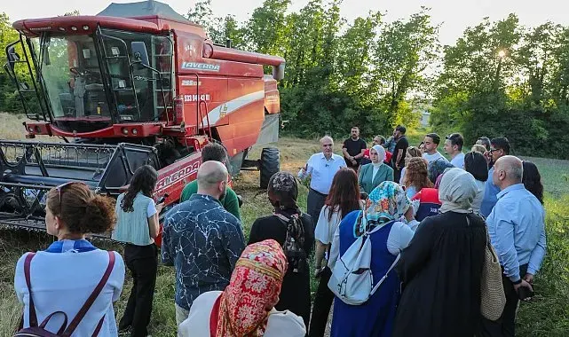 Düzce'de ilk kez yetişen siyez buğdayının hasadı yapıldı