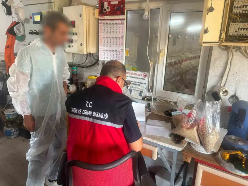 Balıkesir'de Yem Fabrikaları Ve Kanatlı İşletmelerine Yönelik Kapsamlı Denetim