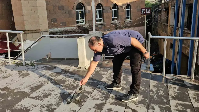Bitlis'te Kasap ile Hasta Bulduğu Karga Arasındaki Sıra Dışı Dostluk İlgi Görüyor