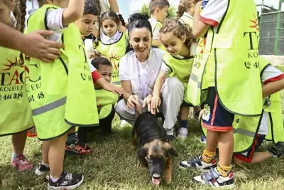 Muratpaşalı Sokak Hayvanları 2026 Yılında Yeni Yuvalarına Kavuştu