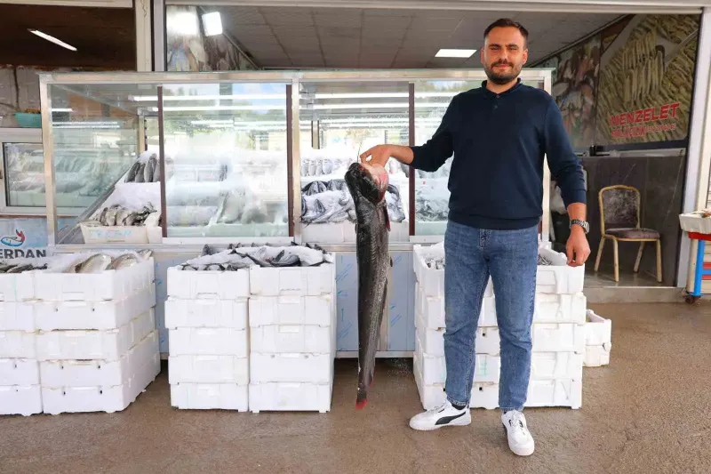 Denize Kıyısı Olmayan Kahramanmaraş'ta Balık Tezgahları Şenlendi